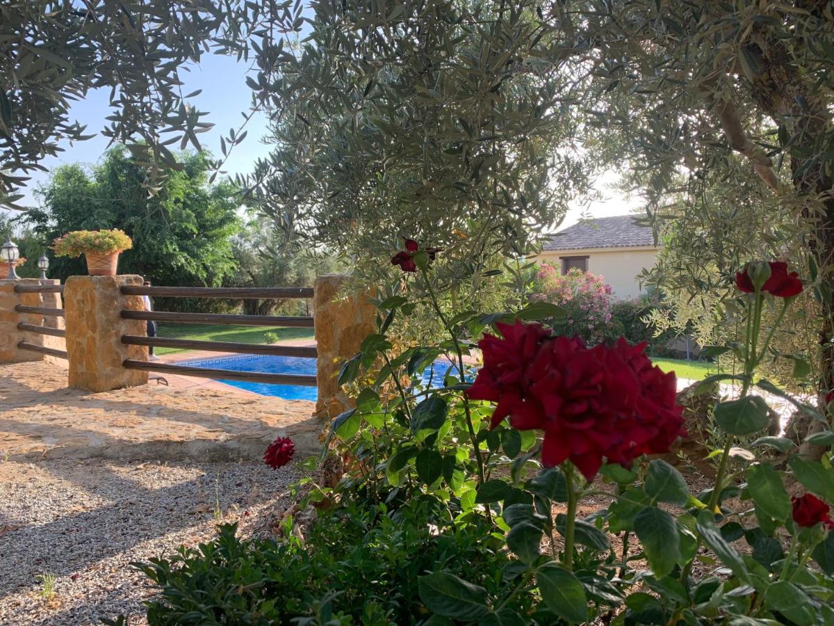 Casas Rurales Cazorla-Alcon Pozo Alcón Zewnętrze zdjęcie