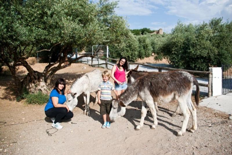 Casas Rurales Cazorla-Alcon Pozo Alcón Zewnętrze zdjęcie